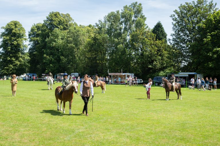 Sunny Long Sutton Horse and Pony Show The Voice